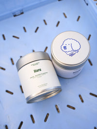 Haru Daily Blend | Yabukita&Okumidori - Uji Matcha